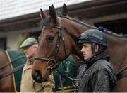 29 February 2016; Jockey Ruby Walsh with Djakadam at Willie Mullins's stables ahead of the Cheltenham Festival. Willie Mullins Stable Visit ahead of Cheltenham 2016. Closutton, Bagenalstown, Co. Carlow. Picture credit: Seb Daly / SPORTSFILE