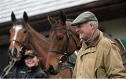 29 February 2016; Trainer Willie Mullins, with Don Poli, left, and Valseur Lido at his stables ahead of the Cheltenham Festival. Willie Mullins Stable Visit ahead of Cheltenham 2016. Closutton, Bagenalstown, Co. Carlow. Picture credit: Seb Daly / SPORTSFILE