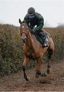 29 February 2016; Shaneshill out on the gallops at trainer Willie Mullins's stables ahead of the Cheltenham Festival. Willie Mullins Stable Visit ahead of Cheltenham 2016. Closutton, Bagenalstown, Co. Carlow. Picture credit: Seb Daly / SPORTSFILE