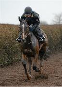 29 February 2016; Vroum Vroum Mag out on the gallops at trainer Willie Mullins's stables ahead of the Cheltenham Festival. Willie Mullins Stable Visit ahead of Cheltenham 2016. Closutton, Bagenalstown, Co. Carlow. Picture credit: Seb Daly / SPORTSFILE
