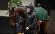 29 February 2016; Jockey Ruby Walsh with Djakadam at at Willie Mullins's stables ahead of the Cheltenham Festival. Willie Mullins Stable Visit ahead of Cheltenham 2016. Closutton, Bagenalstown, Co. Carlow. Picture credit: Brendan Moran / SPORTSFILE