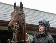 29 February 2016; Jockey Ruby Walsh with Djakadam at trainer Willie Mullins's stables ahead of the Cheltenham Festival. Willie Mullins Stable Visit ahead of Cheltenham 2016. Closutton, Bagenalstown, Co. Carlow. Picture credit: Seb Daly / SPORTSFILE