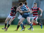 2 March 2016; Seán Gibbons, Castleknock College, is tackled by Adam Curry and William Hayden, left, Wesley College. Bank of Ireland Vinnie Murray Cup Final, Castleknock College v Wesley College, Donnybrook Stadium, Donnybrook, Dublin. Picture credit: Piaras Ó Mídheach / SPORTSFILE