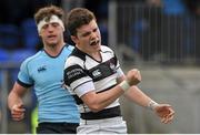 3 March 2016; Hugh O'SullEvan, Belvedere College, celebrates scoring a try late in the game. Bank of Ireland Leinster Schools Senior Cup Semi-Final, Belvedere College v St. Michael's College. Donnybrook Stadium, Donnybrook, Dublin. Picture credit: Sam Barnes / SPORTSFILE