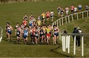 5 March 2016; A general view of the University Men's 8000m race at the GloHealth All-Ireland Schools and Irish Universities Cross Country Championships. Showgrounds, Sligo. Picture credit: Sam Barnes / SPORTSFILE