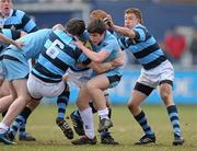 14 February 2010; Luke McGrath, St. Michael's College, is tackled by, from left, Conor O'Riordan, Matthew Webb and Tom Ausytin, Castleknock College. Leinster Schools Senior Cup Quarter-Final, St. Michael's College v Castleknock College, Donnybrook Stadium, Donnybrook, Dublin. Picture credit: Pat Murphy / SPORTSFILE