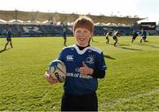 5 March 2016; Leinster matchday mascot Michael Sullivan at the Guinness PRO12, Round 17, clash between Leinster and Ospreys at the RDS Arena, Ballsbridge, Dublin. Picture credit: Stephen McCarthy / SPORTSFILE