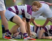 6 March 2016; Harry Arkwright, Clongowes Wood College. Bank of Ireland Leinster Schools Junior Cup, Semi-Final, Clongowes Wood College v St Michael's College. Donnybrook Stadium, Donnybrook, Dublin. Picture credit: Cody Glenn / SPORTSFILE