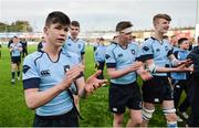 6 March 2016; Christopher Cosgrave, St Michael's College, and team-mates celebrate after the match. Bank of Ireland Leinster Schools Junior Cup, Semi-Final, Clongowes Wood College v St Michael's College. Donnybrook Stadium, Donnybrook, Dublin. Picture credit: Cody Glenn / SPORTSFILE