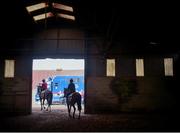 7 March 2016; A general view of the horses and jockeys at the Sandra Hughes' stables during the Fairyhouse Boylesports Irish Grand National Launch. Osborne Lodge, The Curragh, County Kildare. Picture credit: David Maher / SPORTSFILE