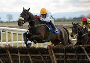 20 February 2010; Empire Theatre, with Davy Condon up, clears the last on their way to winning the Early Bird Discounted Tickets For Easter Maiden Hurdle. Fairyhouse Racecourse, Co. Meath. Picture credit: Pat Murphy / SPORTSFILE