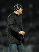 20 February 2010; Leinster head coach Michael Cheika ahead of the game. Celtic League, Leinster v Scarlets. RDS, Dublin. Picture credit: Stephen McCarthy / SPORTSFILE