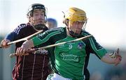 21 February 2010; Paul Browne, Limerick, in action against Niall Cahalane, Galway. Allianz GAA Hurling National League, Division 1 Round 1, Limerick v Galway, John Fitzgerald Park, Kilmallock, Co. Limerick. Picture credit: Brendan Moran / SPORTSFILE