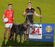 10 March 2016; The GAA is calling on members of all its clubs and members of the public to join them in Croke Park, on Sunday April 24, for the Association's national Commemorative Event. Pictured are Niall Kelly, left, Athy GAA Club, Co. Kildare, and Tony Kelly, Ballyhea GAA Club, Co. Clare, with Irish Wolfhounds Aoife and Meabh. Croke Park, Dublin. Picture credit: Ray McManus / SPORTSFILE
