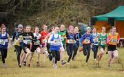 21 February 2010; A general view of the start of the Girls U13 race during the Woodie’s DIY Juvenile ‘B’ Cross Country. Juvenile Athletes, Woodie’s DIY Juvenile ‘B’ Cross Country. Lough Key Forest Park, Boyle, Co. Roscommon. Picture credit: Pat Murphy / SPORTSFILE