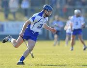 21 February 2010; Michael Walsh, Waterford. Allianz GAA Hurling National League Division 1 Round 1, Waterford v Dublin. Walsh Park, Waterford. Picture credit: Matt Browne / SPORTSFILE
