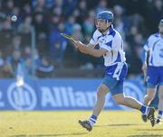 21 February 2010; Jamie Nagle, Waterford. Allianz GAA Hurling National League Division 1 Round 1, Waterford v Dublin. Walsh Park, Waterford. Picture credit: Matt Browne / SPORTSFILE