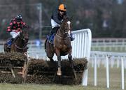 28 February 2010; False Evidence, with Andrew Leigh up, clears the last, ahead of eventual third place Seeability, John Cullen up, on their way to winning The Irish Stallion Farms European Breeders Fund Maiden Hurdle. Leopardstown Racecourse, Dublin. Picture credit: Brian Lawless / SPORTSFILE