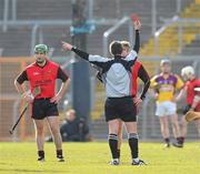 28 February 2010; Connor Woods, Down is sent off by referee Jason O'Mahony. Allianz GAA Hurling National League Division 2 Round 2, Wexford v Down, Wexford Park, Wexford. Picture credit: Matt Browne / SPORTSFILE