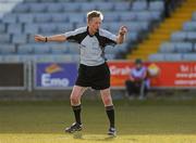 28 February 2010; Denis Richardson, Referee. Allianz GAA Hurling National League Division 2 Round 2, Laois v Clare, O'Moore Park, Portlaoise, Co. Laois. Picture credit: Pat Murphy / SPORTSFILE