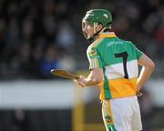 28 February 2010; Derek Morkan, Offaly. Allianz GAA Hurling National League Division 1 Round 2, Kilkenny v Offaly, Nowlan Park, Kilkenny. Picture credit: Ray McManus / SPORTSFILE