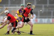 28 February 2010; Connor Woods, Down, in action against Wexford. Allianz GAA Hurling National League Division 2 Round 2, Wexford v Down, Wexford Park, Wexford. Picture credit: Matt Browne / SPORTSFILE