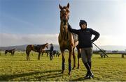 14 March 2016; Ruby Walsh with Annie Power ahead of the Cheltenham Racing Festival 2016. Prestbury Park, Cheltenham, Gloucestershire, England. Picture credit: Cody Glenn / SPORTSFILE