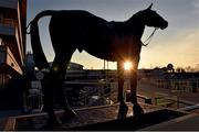 14 March 2016; A statue of Golden Miller, winner of five consecutive Gold Cups from 1932-1936, ahead of the Cheltenham Racing Festival 2016. Prestbury Park, Cheltenham, Gloucestershire, England. Picture credit: Cody Glenn / SPORTSFILE