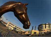 14 March 2016; A general view of a statue of Best Mate, winner of the Gold Cup from 2002-2004, Cheltenham ahead of the Cheltenham Racing Festival 2016. Prestbury Park, Cheltenham, Gloucestershire, England. Picture credit: Cody Glenn / SPORTSFILE