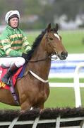 27 April 2001; Istabraq, with Charlie Swan up, inspect the last fence before competing in the Shell Champion Hurdle at Leopardstown Racecourse in Dublin. Photo by Matt Browne/Sportsfile