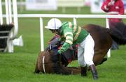 27 April 2001; Istabraq, with Charlie Swan, after hitting the last fence during the Shell Champion Hurdle at Leopardstown Racecourse in Dublin. Photo by Matt Browne/Sportsfile