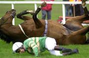 27 April 2001; Istabraq, with Charlie Swan, after falling at the last fence during the Shell Champion Hurdle at Leopardstown Racecourse in Dublin. Photo by Matt Browne/Sportsfile
