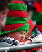 29 April 2001; A Mayo fan during the Allianz GAA National Football League Division 1 Final match betweem Mayo and Galway at Croke Park in Dublin. Photo by Ray McManus/Sportsfile