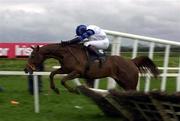 24 April 2001; Native Endurance, with Barry Geraghty up, jump the last during the Winning Fair Champion Novice Hurdle at Leopardstown Racecourse in Dublin. Photo by Matt Browne/Sportsfile