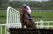 24 April 2001; Alpha Blues, with Tom Treacy up, jumps the last during the Ratoath Hurdle at Leopardstown Racecourse in Dublin. Photo by Matt Browne/Sportsfile