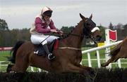 27 April 2001; Church Place, with Ian Power up, jump the first during the Foxrock Handicap Steeplechase at Leopardstown Racecourse in Dublin. Photo by Matt Browne/Sportsfile