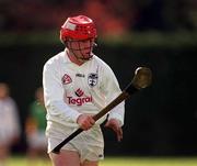 29 April 2001; Colum Buggy of Kildare during the Guinness Leinster Senior Hurling Championship Preliminary Round match between Kildare and Meath at Conneff Park in Clane, Kildare. Photo by Aoife Rice/Sportsfile