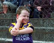 6 May 2001; Young Wexford fan Conor Halligan, age 4 and a half, son of Wexford Football manager Ger Halligan, at the Bank of Ireland Leinster Senior Football Championship First Round match between Laois and Wexford at Dr Cullen Park in Carlow. Photo by Aoife Rice/Sportsfile