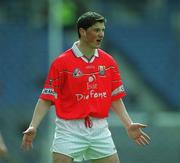 29 April 2001; Fionan Murray of Cork during the Allianz GAA National Football League Division 2 Final match between Westmeath and Cork at Croke Park in Dublin. Photo by Ray McManus/Sportsfile