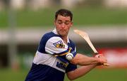 29 April 2001; Ollie Dowling of Laois during the Guinness Leinster Senior Hurling Championship Preliminary Round match between Carlow and Laois at Dr Cullen Park in Carlow. Photo by Damien Eagers/Sportsfile