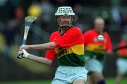 29 April 2001; Edward O'Grady of Carlow during the Guinness Leinster Senior Hurling Championship Preliminary Round match between Carlow and Laois at Dr Cullen Park in Carlow. Photo by Damien Eagers/Sportsfile