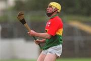 29 April 2001; Damien Roberts of Carlow during the Guinness Leinster Senior Hurling Championship Preliminary Round match between Carlow and Laois at Dr Cullen Park in Carlow. Photo by Damien Eagers/Sportsfile