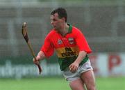 29 April 2001; Johnny Nevin of Carlow during the Guinness Leinster Senior Hurling Championship Preliminary Round match between Carlow and Laois at Dr Cullen Park in Carlow. Photo by Damien Eagers/Sportsfile