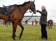 16 March 2016; Trainer Willie Mullins with Dicosimo on the gallops ahead of day 2 of the races. Prestbury Park, Cheltenham, Gloucestershire, England. Picture credit: Cody Glenn / SPORTSFILE