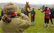16 March 2016; Stan James Champion Hurdle Challenge Trophy winner Annie Power and stable hand Nim Spalding, left, and OLBG Mares' Hurdle winner Vroum Vroum Mag and stable hand Steph Searle, right, pose for a photo on the gallops ahead of Day 2 at the Cheltenham Festival 2016. Prestbury Park, Cheltenham, Gloucestershire, England. Picture credit: Seb Daly / SPORTSFILE