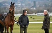 16 March 2016; Willie Mullins, right, and son Patrick Mullins, with Dicosimo on the gallops ahead of Day 2 at the Cheltenham Festival 2016. Prestbury Park, Cheltenham, Gloucestershire, England. Picture credit: Seb Daly / SPORTSFILE