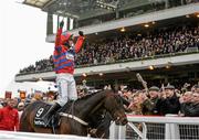 16 March 2016; Nico de Boinville celebrates after winning the The Betway Queen Mother Champion Steeple Chase on Sprinter Sacre. Prestbury Park, Cheltenham, Gloucestershire, England. Picture credit: Seb Daly / SPORTSFILE