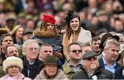 16 March 2016; Racegoers watch from the stands during the The Betway Queen Mother Champion Steeple Chase. Prestbury Park, Cheltenham, Gloucestershire, England. Picture credit: Seb Daly / SPORTSFILE