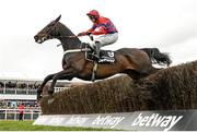 16 March 2016; Sprinter Sacre, with Nico de Boinville up, clears the last on their way to winning the The Betway Queen Mother Champion Steeple Chase. Prestbury Park, Cheltenham, Gloucestershire, England. Picture credit: Cody Glenn / SPORTSFILE
