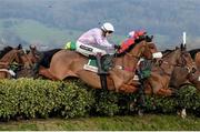 16 March 2016; Any Currency, with Aidan Coleman up, jumps the first bank with a hedge on their way to winning the Glenfarclas Cross Country Steeple Chase. Prestbury Park, Cheltenham, Gloucestershire, England. Picture credit: Seb Daly / SPORTSFILE